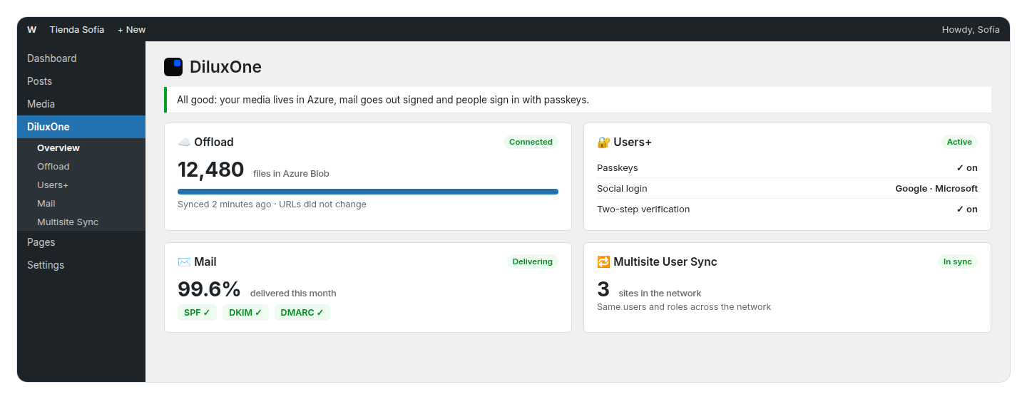 The DiluxOne panel in the WordPress admin