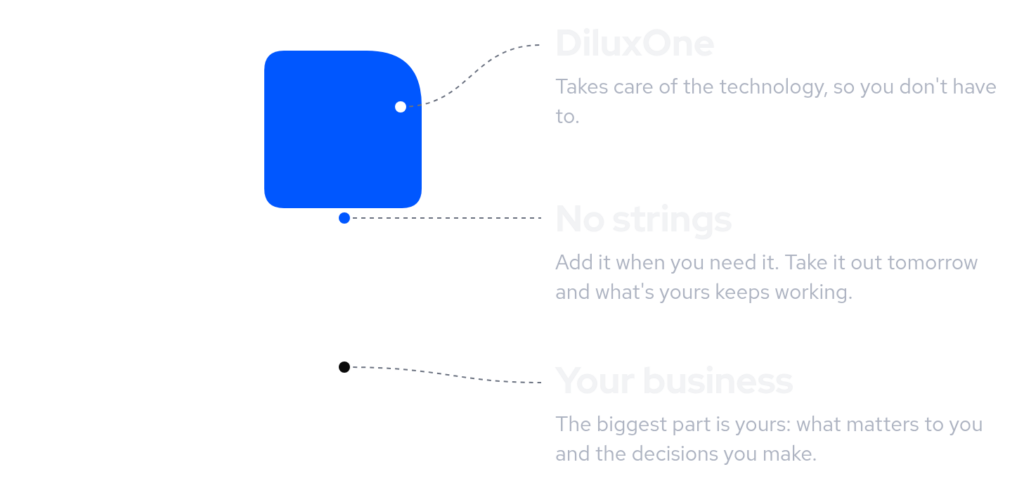 The DiluxOne mark explained: your business, DiluxOne and the gap between them