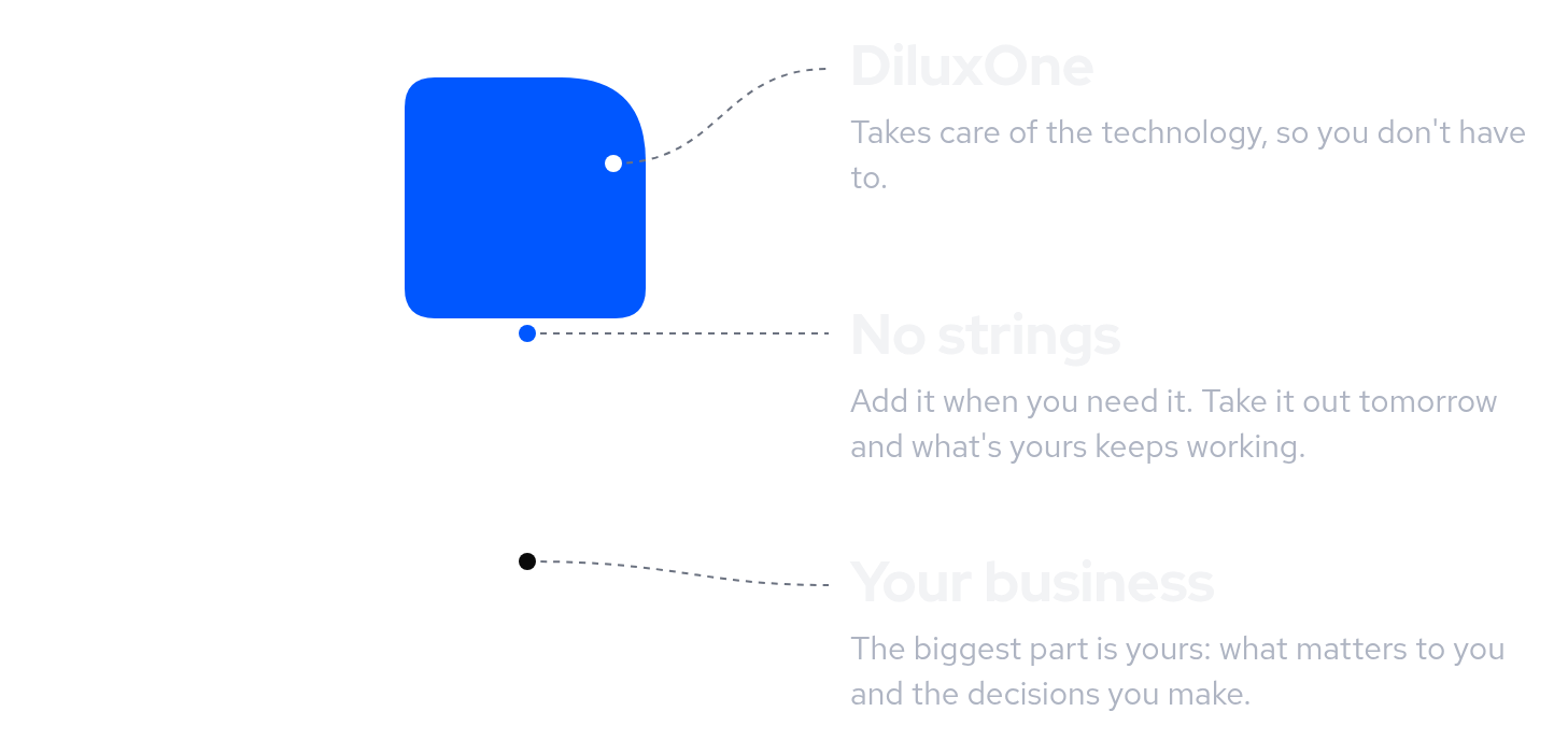 The DiluxOne mark explained: your business, DiluxOne and the gap between them