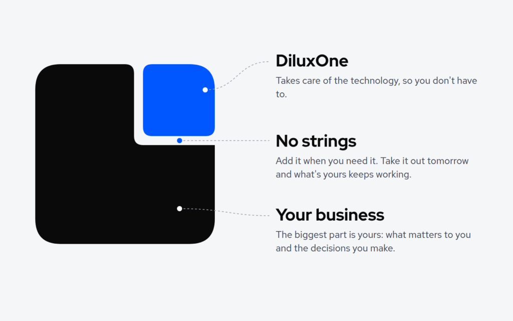 The DiluxOne mark explained: your business, DiluxOne and the gap between them